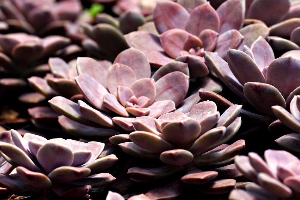 VIO脱毛と顔脱毛を受ける際のメンズクリニック選びのポイントは？