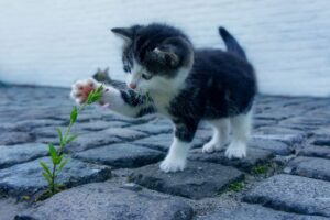 全身脱毛の赤みが出る期間はどのくらい？