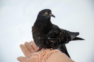 全身脱毛を夏前に始めるメリットとは？