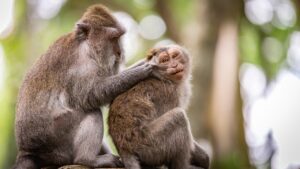 VIO脱毛を受けるなら医者がいるクリニックはどこですか？